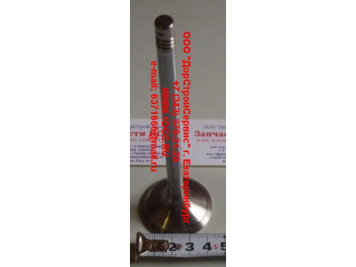 Клапан впускной WP12 SH SHAANXI / Shacman (ШАНКСИ / Шакман) 612630050001 фото 1 Нижний Новгород